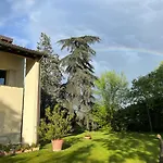 Acero Giallo