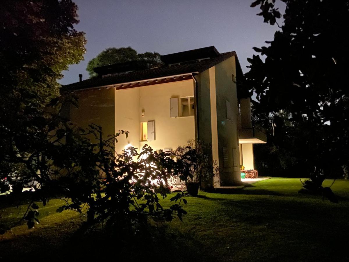 Acero Giallo
